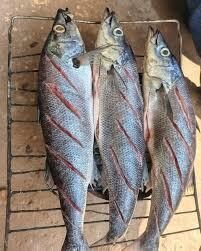 Mukeke fish from Lake Tanganyika