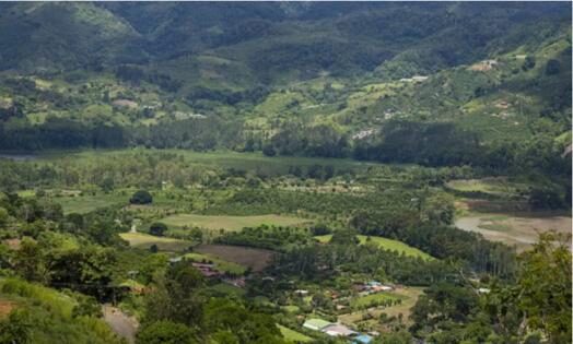 Landscape of the Mugamba